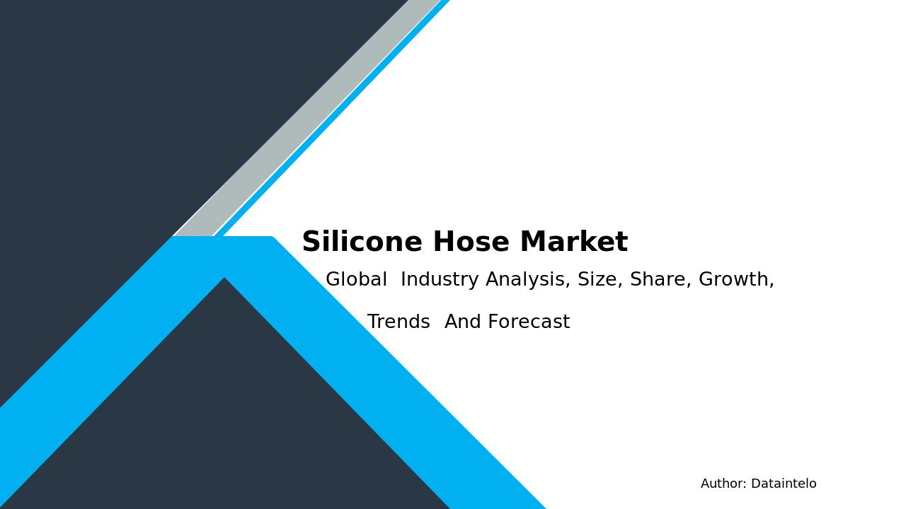Silicone Hose Market Report | Global Forecast From 2025 To 2033