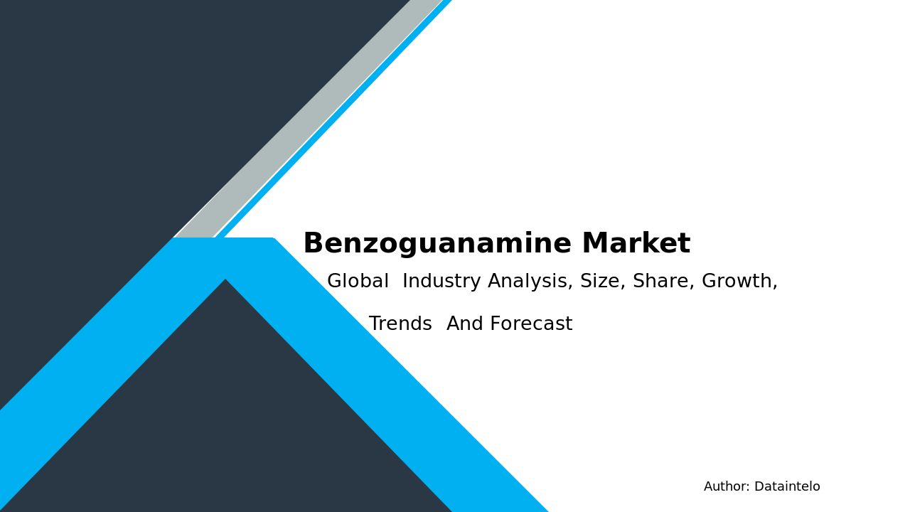 Benzoguanamine Market Report | Global Forecast From 2025 To 2033