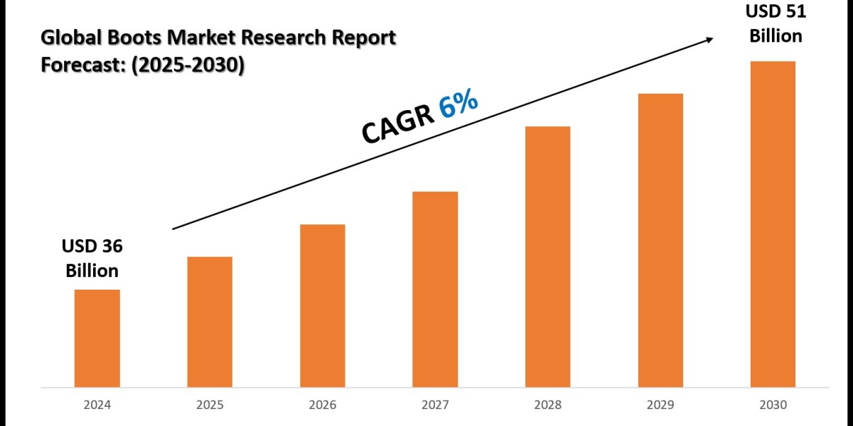 Boots Market Forecast, Segmentation and Key Insights