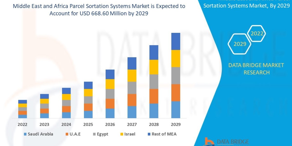 Top Parcel Sortation Systems to Improve E‑Commerce Efficiency in 2025