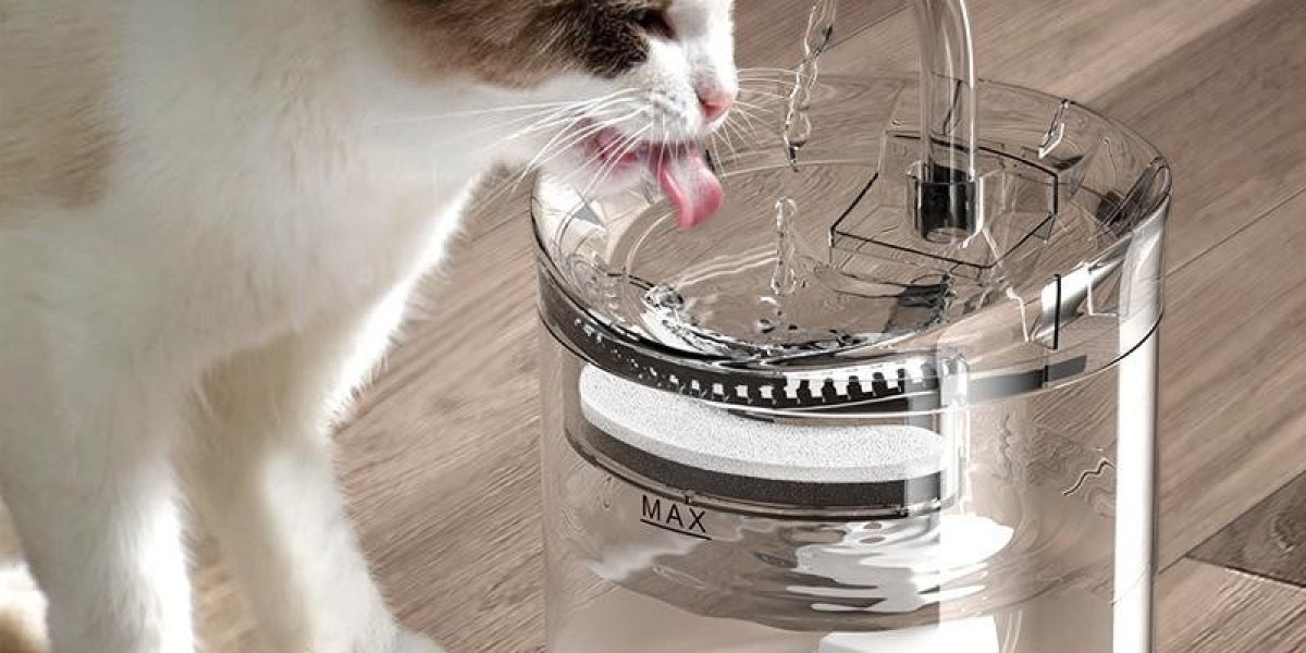 Is Pawtechpet Cat Water Fountain Right for Your Home?