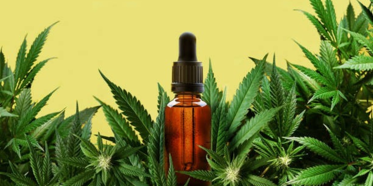 CBD Niort : Un allié naturel pour le bien-être des Niortais