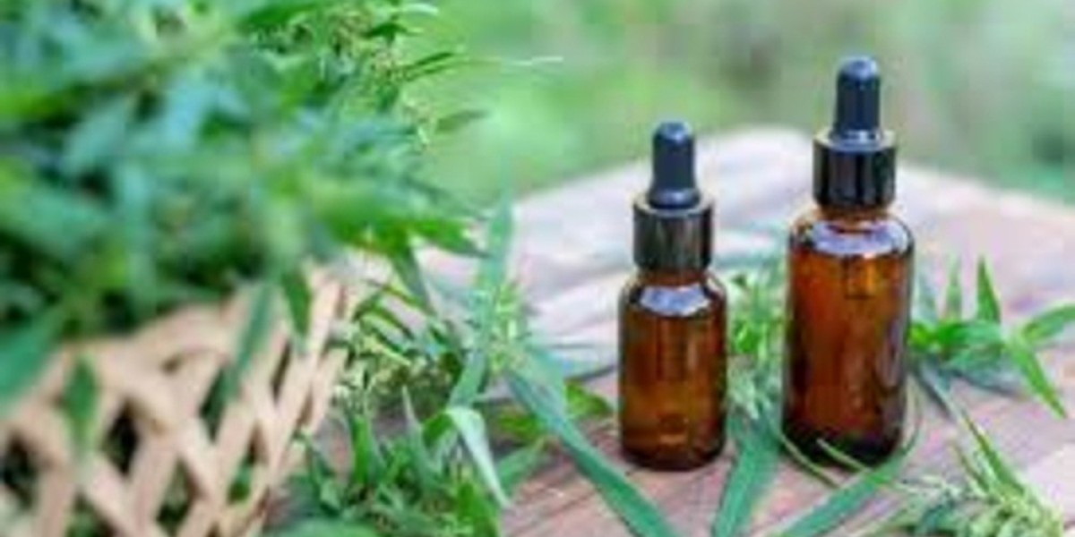 CBD Brive-la-Gaillarde : Un Remède Naturel pour le Corps et l’Esprit