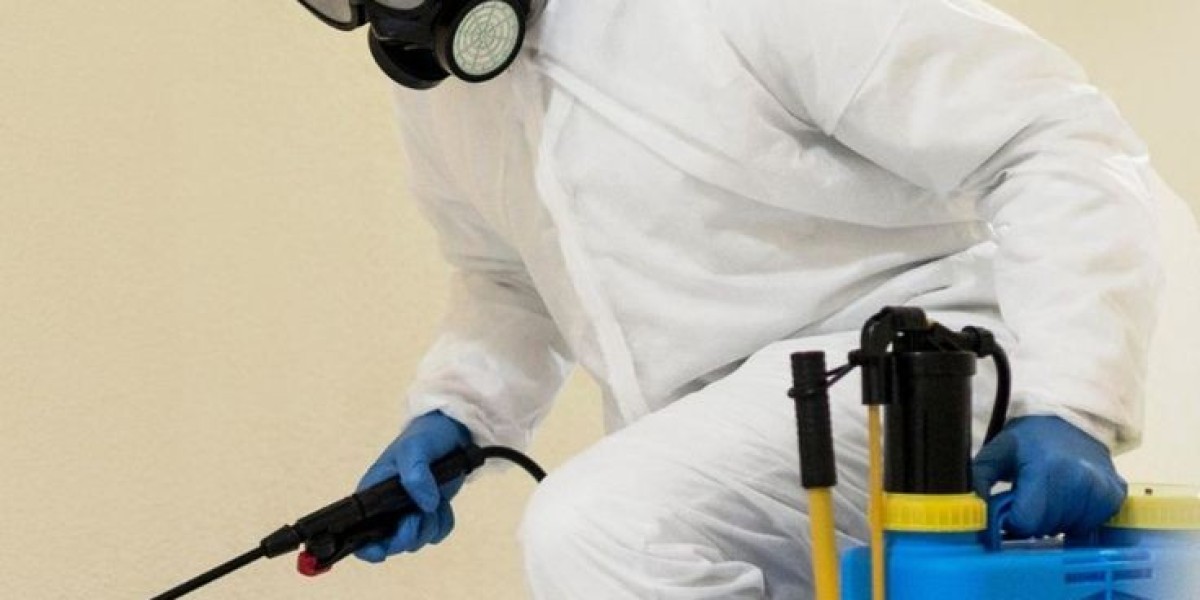 The Ultimate Guide to Effective Pest Control in Long Island: Solutions for a Healthier Home and Environment