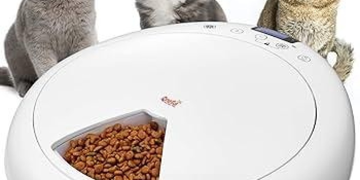Pawtechpet Pet Feeder Simplifies Feeding for Busy Owners