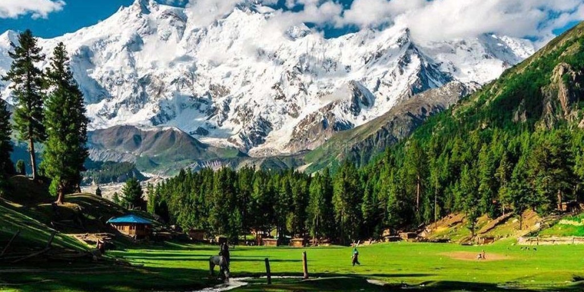 Book Your Dream Honeymoon & Skardu by Air Tour with Nature Explorer
